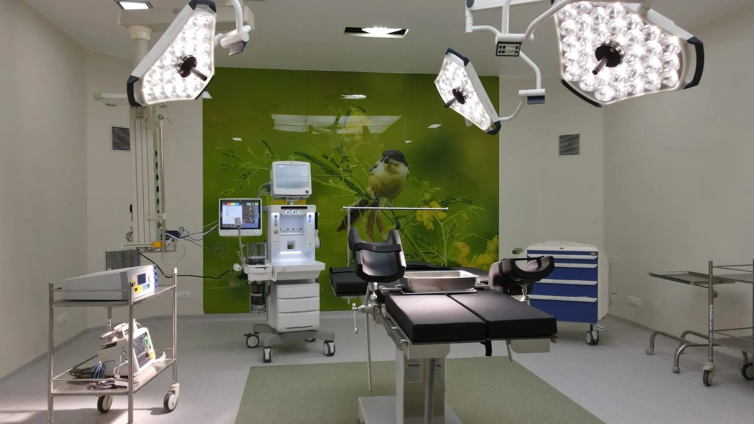 ApolloSage Hospitals