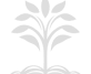 Plantation Drives